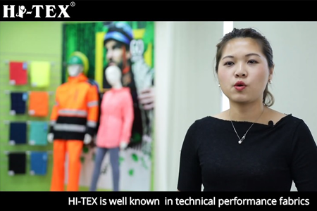 HITEX COMPANY INTRO